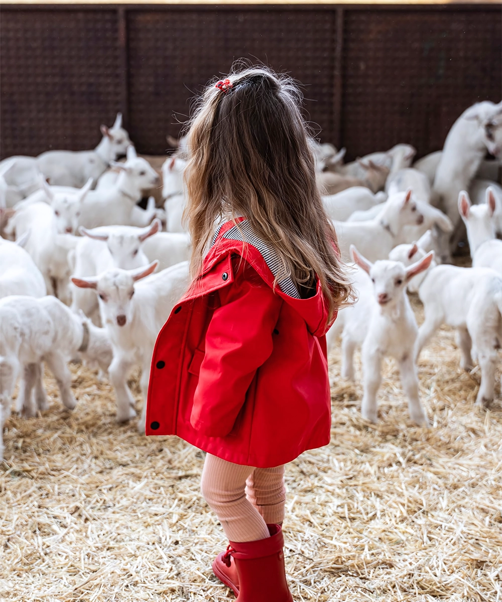 Sürdürülebilirlik